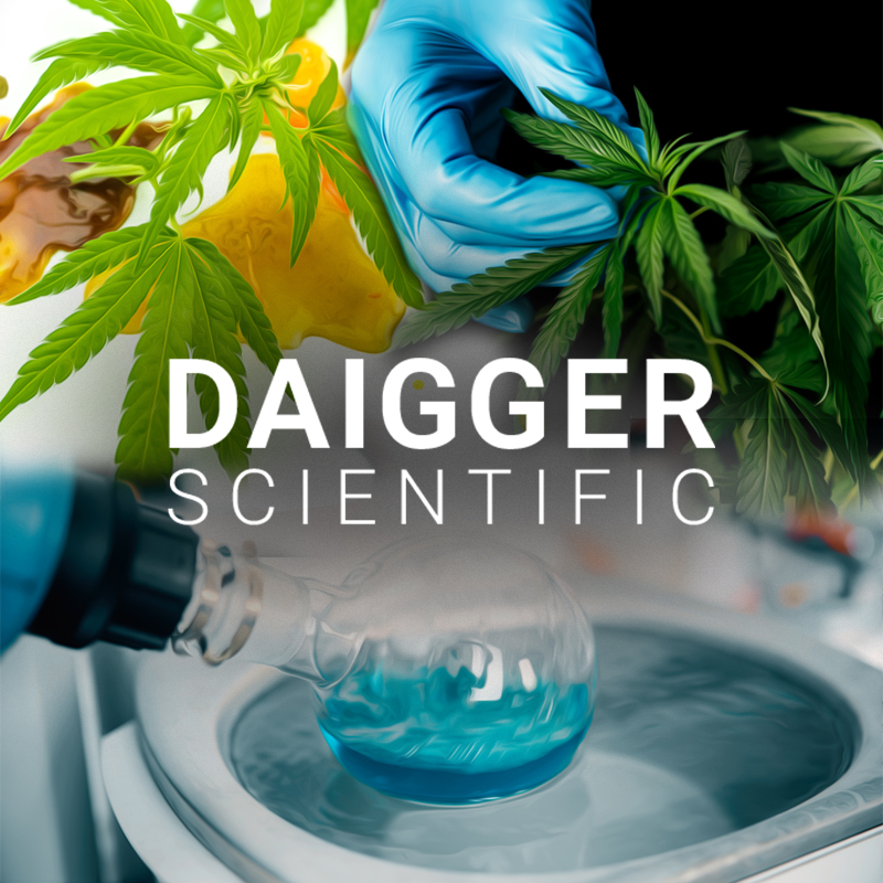 Cannabis @ Daigger
